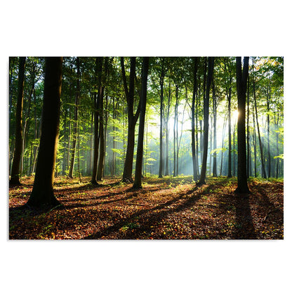 Feeby fleece canvas picture Sunbeams In The Forest 120x80 cm Wall Art Print Home Decor Living Room Apartment Decor Nature Trees Green