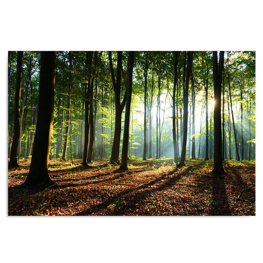 Feeby fleece canvas picture Sunbeams In The Forest 120x80 cm Wall Art Print Home Decor Living Room Apartment Decor Nature Trees Green