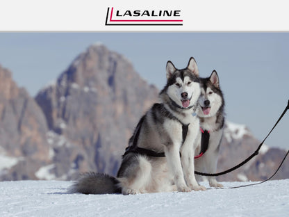LASALINE Dog Pulling Harness X Back for Canicross Dog Sports Dogscooter Bikejoring Sledding in Black Neon Pink