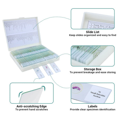 100 microscope slides specimens, microscope slides with biological samples, insects, plants, human cells for children, students, education, and scientific research.