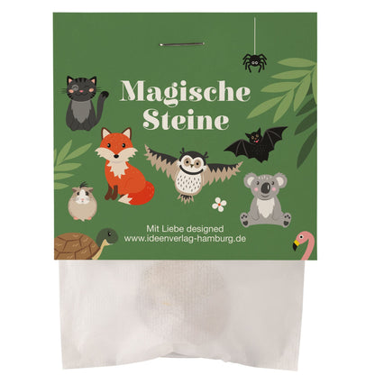 10x "Magic Stones" lucky stones for kids - party favors for children's birthday parties - good luck charm stone - birthday party favors - children's birthday party guest gift - lucky stone party favor