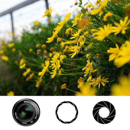 Meike 35mm f0.95 large aperture manual focus prime lens, compatible with Sony E-Mount mirrorless cameras NEX 3 3N NEX 5R NEX 6 7 A6600 A6400 A5000 A5100 A6000 A6100 A6300 A6500 A300.