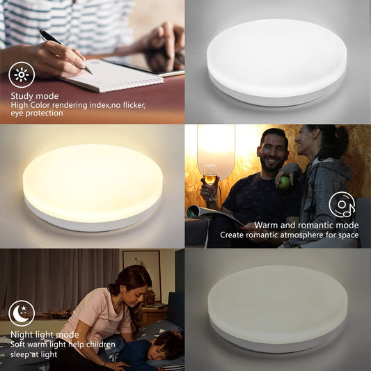 Bluetooth ceiling light 24W LED ceiling lamp with speaker, remote control and app control, RGB color changing, dimmable, IP44 waterproof, White noise adjustable for bedroom children's room Ø26CM