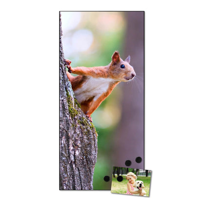banjado® Magnetic Board 37 x 78cm / Metal Magnet Board/Memo Board/Pin Board Magnetic Board for Kitchen, Office, Kids Room including 4 Magnets & Mounting Kit - Squirrel Design