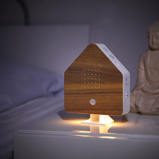 Northpoint Nature Soundbox, bird, song, bird chirp, box, motion sensor, bird sound, light, rechargeable with wall mount, beechwood house