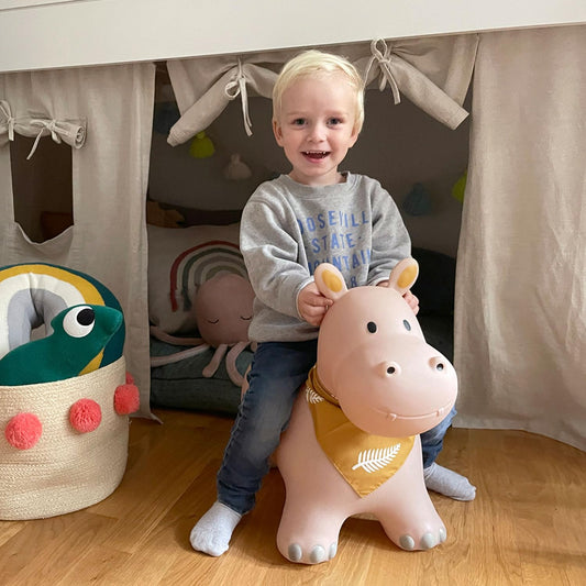 Childhood Hopper for kids, subtle and modern colors, loving details and high-quality, includes air pump, Hippo