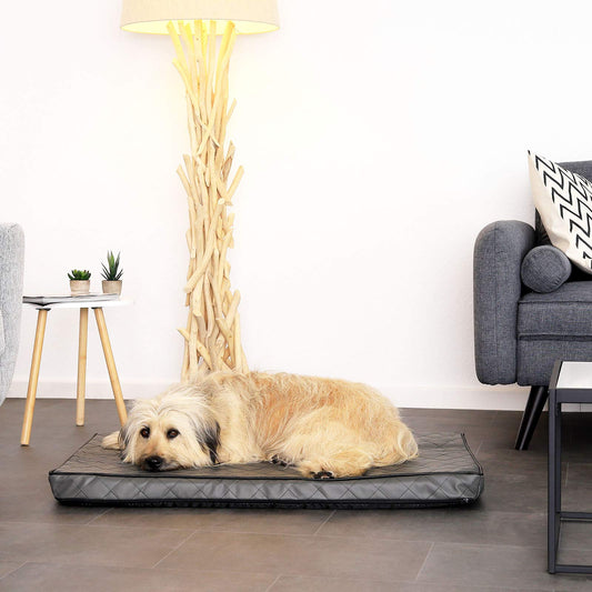 Lionto Dog Mat orthopedic with memory foam, joint-friendly dog pillow made of easy-care imitation leather, 100x70 cm, Quilted dog bed with removable cover and anti-slip coating, gray.