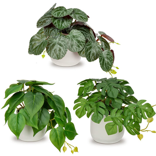 3-piece artificial hanging plant set in ceramic pots. Mini Monstera and Philodendron plants for modern decoration in home, office, bathroom, kitchen, and interior design.