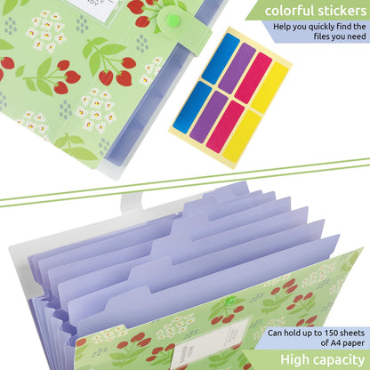 KONVINIT document folder for A4 documents, expandable with organized compartments and labels. Ideal for school, home, work, or office. Set of 2.