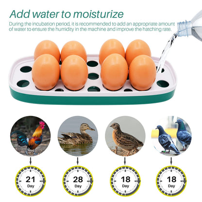 8 Eggs Incubator Chicken Hatcher Machine for Poultry Eggs, Small Train-shaped Egg Incubator with LED Light, Digital Temperature Control Hatching Machine for Hatching Birds, Quails, and Pigeons (White)