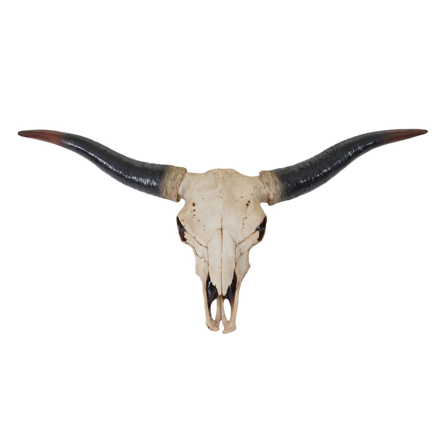 Mendler Decor Skull 75cm HWC-A14, Polyresin Bull Longhorn Head Trophy, Indoor/Outdoor Natural