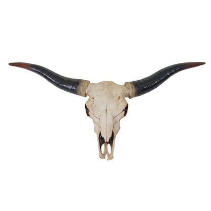 Mendler Decor Skull 75cm HWC-A14, Polyresin Bull Longhorn Head Trophy, Indoor/Outdoor Natural