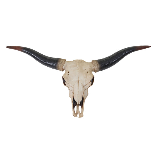 Mendler Decor Skull 75cm HWC-A14, Polyresin Bull Longhorn Head Trophy, Indoor/Outdoor Natural