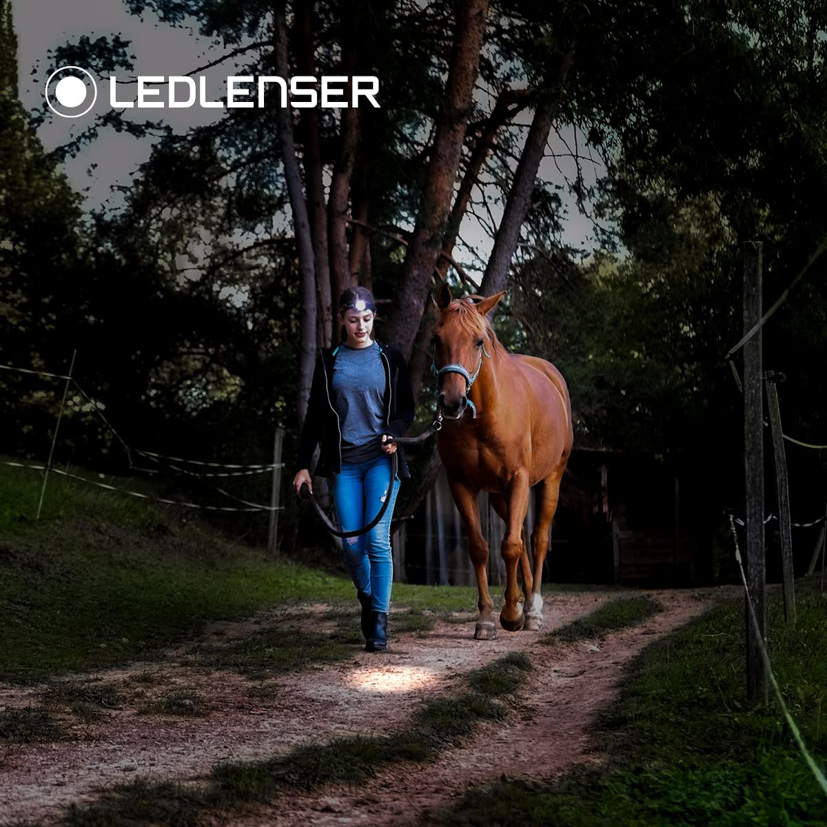 Ledlenser H8R headlamp with rechargeable lithium 18650 battery, 600 lumens, focusable, up to 120h runtime, red taillight, swiveling, USB charging cable.
