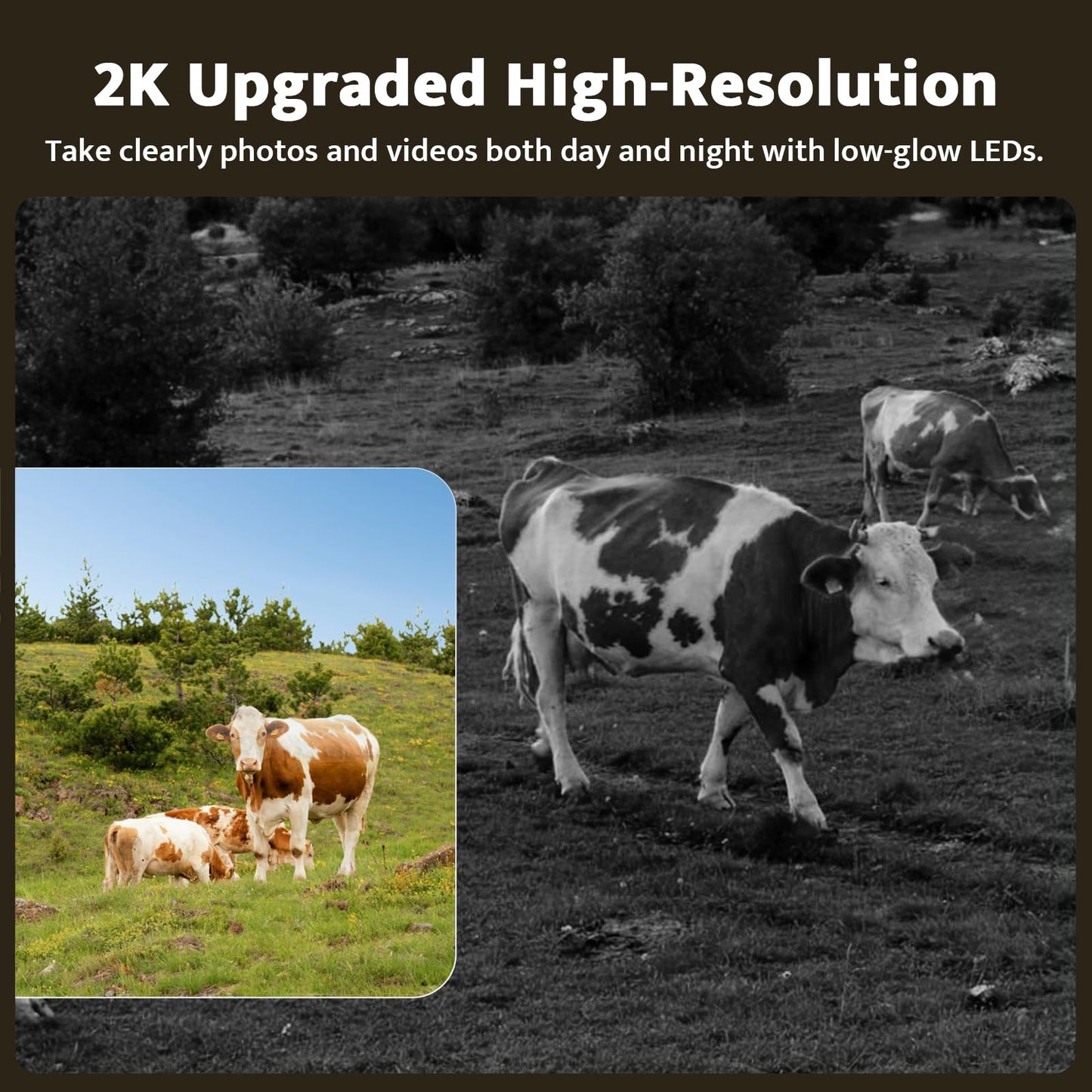 usogood 4G LTE Solar Wild Camera, 360° 2K Wildlife Camera with unlimited data plan, SIM card 32GB memory card, phone transfer app, IP66 waterproof.