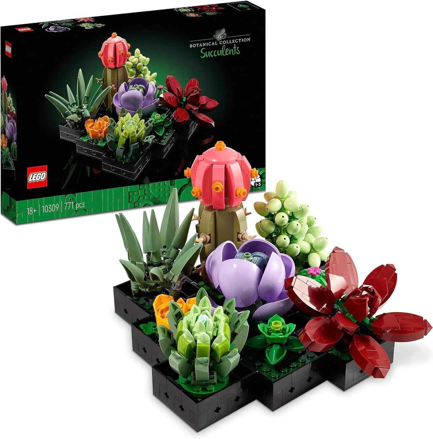LEGO 10309 Icons Succulent Botanical Collection Set for adults to craft room decor with 9 buildable artificial mini plants, Home Decor & 10311 Icons Orchid Set for adults.