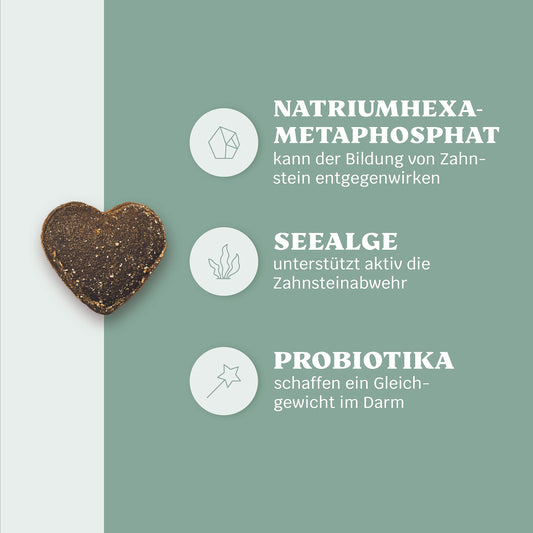 10-in-1 dental care treats for dogs - Fresh Smile 110 Snacks (325g) by mammaly - fights bad breath, tartar with peppermint, seaweed, vitamin C, parsley and more for oral hygiene, mouth care.