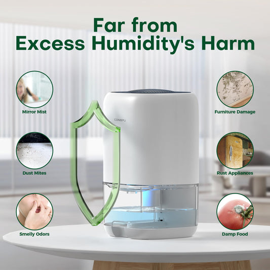 CONOPU 1000ml Dehumidifier, Electric, Auto Off & Colored LED Light, Peltier Technology Update, Portable and Ultra Quiet, for Home, Bathroom, Closet, OZC19S01, White