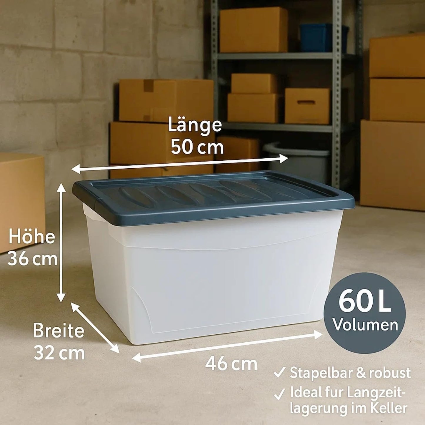 BigDean 3x 60L Storage Box with Lid Large Budget Line Plastic Box with Lid