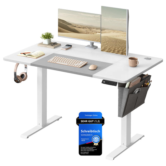 SONGMICS Electric Height Adjustable Desk, 120 x 60 cm, continuously adjustable, Memory Function with 4 heights, cloud white-dove gray LSD015W02