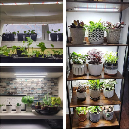 Wiaxulay LED Full Spectrum Plant Lamp, 6000K Plant Light for Plants, Growth Lights for Indoor Plants, Growth Light Strip with Auto Timer 6/12/16H, 5 Level Dimmable.