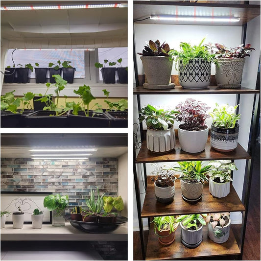 Wiaxulay LED Full Spectrum Plant Lamp, 6000K Plant Light for Plants, Growth Lights for Indoor Plants, Growth Light Strip with Auto Timer 6/12/16H, 5 Level Dimmable.