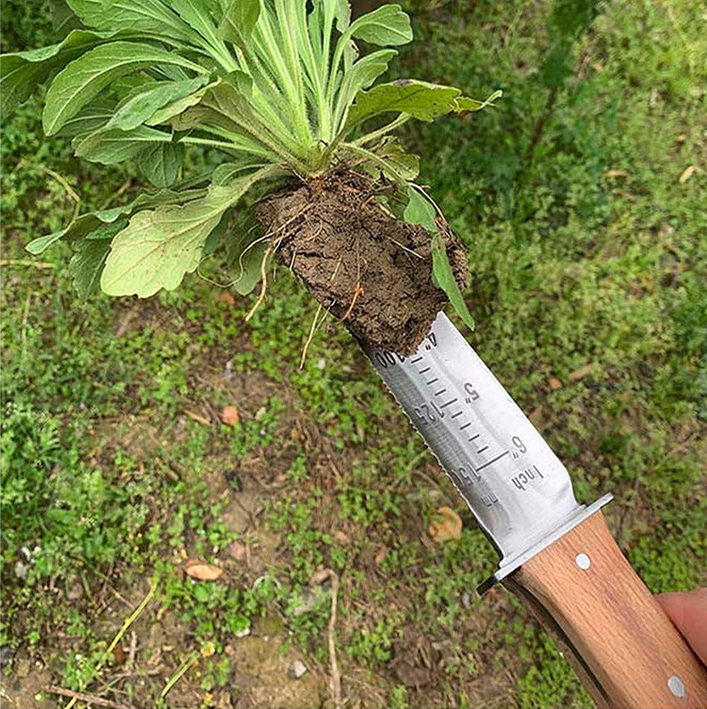 Berry & Bird Hori-Hori Garden Knife, Ground Shovel Barebones 7" serrated blade pruner for removing weed roots gardening digging tool.