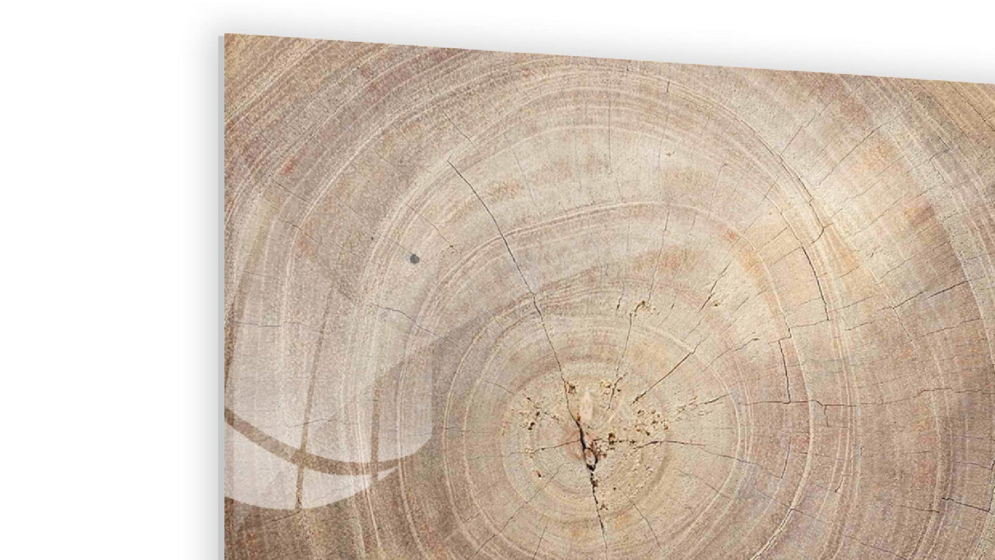 ALLboards glass magnetic board tree trunk nature tree core 90x60cm glass memo board with tree trunk design. Magnetic wall board for writing notes, magnetic board wall decoration.