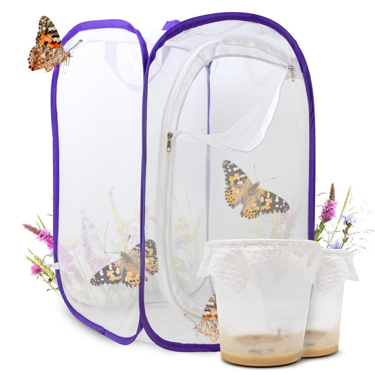 Butterfly breeding kit for kids | Approx. 14 caterpillars + large habitat (40x40x60 cm) | FREE E-Book + educational materials | Breed caterpillars at home from age 3 | Raise native Painted Lady butterflies