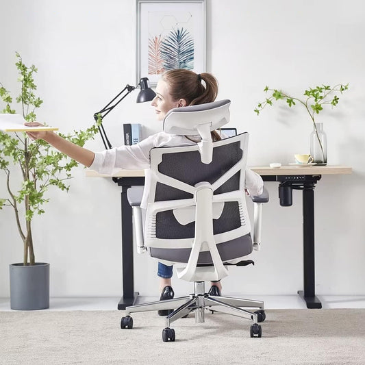 HOLLUDLE ergonomic office chair with adaptive backrest, desk chair with 4D armrests, adjustable seat depth, lumbar support, and 2D headrest, breathable mesh executive chair, White