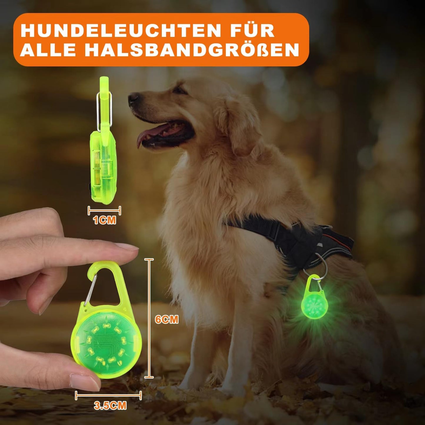 ZLCBBD LED Blink light for kids - USB rechargeable reflector light for school bags, safety light attachment for hiking, running, jogging, pet backpack, clothing Green