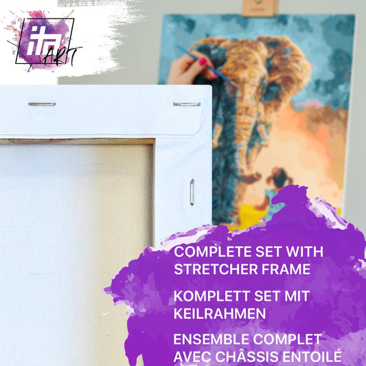 ITA Art Paint by Numbers Complete Set with Stretcher Frame, Acrylic Paints, Brushes, Accessories, Gift Box - DIY Painting Craft Kit with Canvas for Adults, 30x40 cm, Rainy Encounter