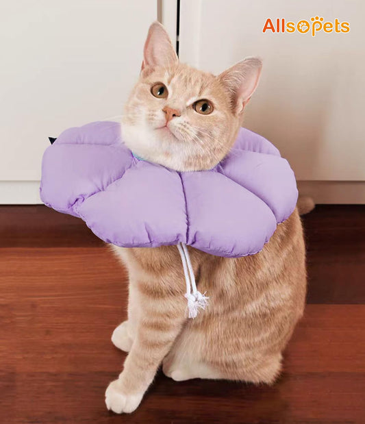 ALLSOPETS Cat Recovery Collar - Adjustable Cone Collar for Pets Soft and Comfortable, Waterproof and Lightweight - Ideal for kittens, cats, small dogs, and rabbits. Purple.