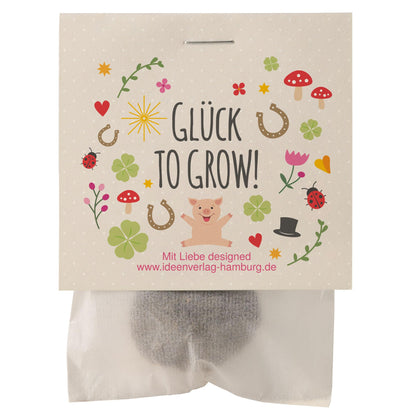 10x "Good luck to grow" seed bombs/lucky charms/small gifts for colleagues, guests & friends - Seed bomb party favor - Children's thank you gifts - Party favors