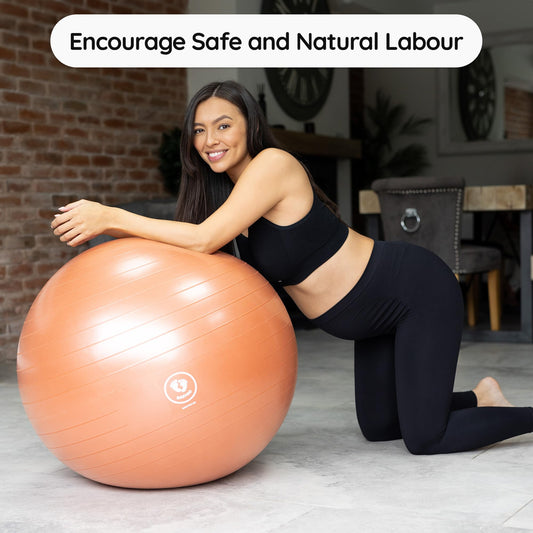BABYGO® Pregnancy Exercise Ball | Office Pregnancy Yoga Pezzi Ball | includes Pregnancy Book for Birth & Fitness | Anti-Burst 1000 Kg (Terracotta, 75cm)