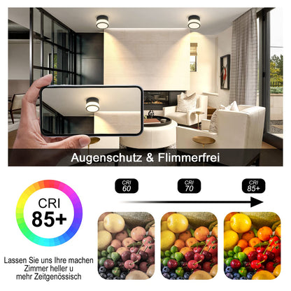 Temgin IP65 Ceiling Light Surface Mount Matte Black LED 12W 3000K Warm White Ceiling Spots Aluminum 230V Ø10cm Surface-mounted luminaire Ceiling lamp Bathroom.