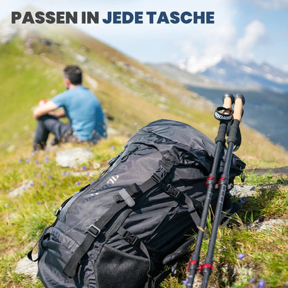 Steinwood Premium Carbon Trekking Poles - Telescopic Hiking Poles for Men and Women - Ultralight Carbon Walking Stick with Cork Grip and Rubber Tips Set