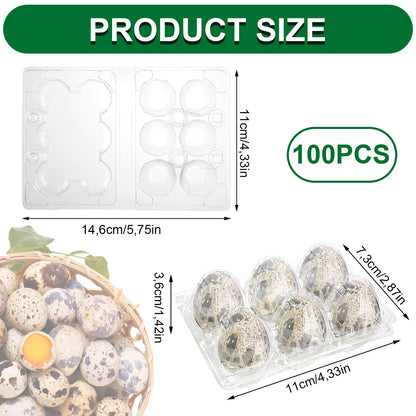 APACALI 100pcs Quail Egg Cartons, Quail Egg Cartons 6 Grids, Plastic Quail Egg Cartons with Lid, Transparent Quail Egg Cartons