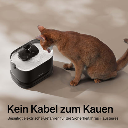 PETLIBRO Cat Fountain Cordless with Motion Sensor Dockstream Drinking Fountain for Cat Cordless, Battery Operated Cat Drinking Fountain with 5000mAh Battery, 23dB Ultra Quiet, Easy Cleaning, BPA-free