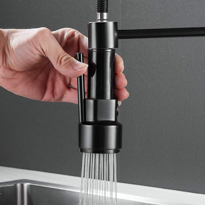 Kitchen faucet black, 360° rotatable sink faucet with pull-out spray, two spouts, spiral spring