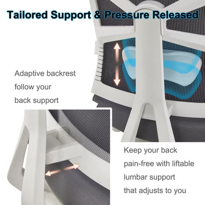 HOLLUDLE ergonomic office chair with adaptive backrest, desk chair with 4D armrests, adjustable seat depth, lumbar support, and 2D headrest, breathable mesh executive chair, White