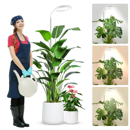 wolezek Plant Lamp LED Full Spectrum, 80 LEDs 6500K Grow Light, 160cm Large Grow Lamp, 3 Colors Plant Light with 360° Gooseneck, 6/12/16H Timer, 5 Brightness, Adjustable Height, White