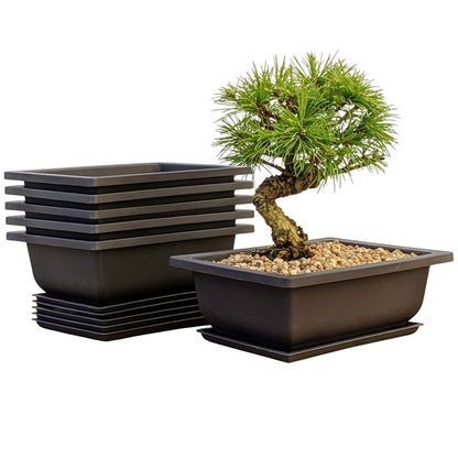 Mollyfox Bonsai Training Pots, 6-piece Bonsai Tray Large with Trays, Plastic Bonsai Planting Pot for Garden, Yard, Office, Living Room, Balcony, and more, 23x17x8cm