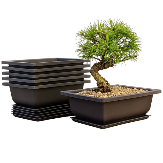 Mollyfox Bonsai Training Pots, 6-piece Bonsai Tray Large with Trays, Plastic Bonsai Planting Pot for Garden, Yard, Office, Living Room, Balcony, and more, 23x17x8cm