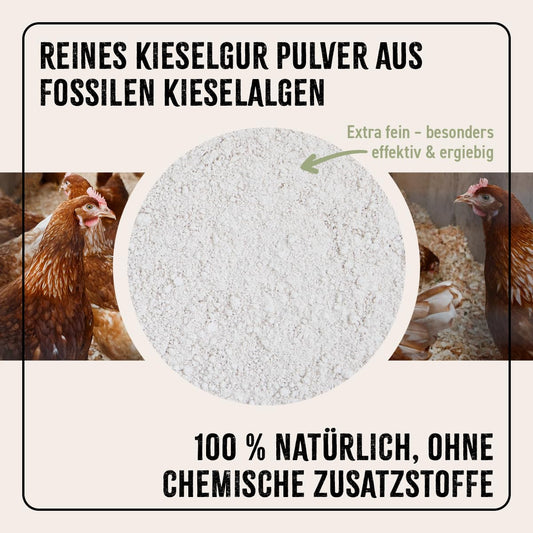 AniForte Diatomaceous Earth for Chickens 4.2kg with Dusting Bottle - Pure Diatomaceous Earth Chicken Powder, Silica Powder, Natural product for Chicken Coops, Laboratory Tested for Poultry Farms
