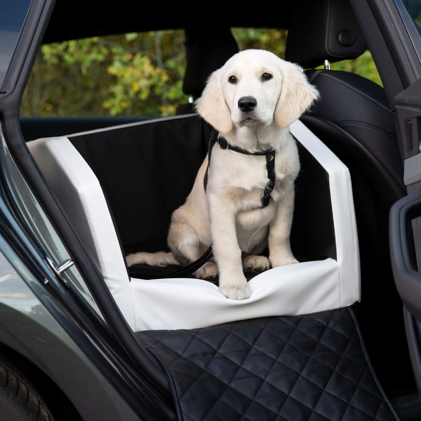 CopcoPet Backseat Dog Car Seat Auto Dog Bed Dog Bed Transport Bed Car Seat Cover (55 x 105 x 38 cm, Black)
