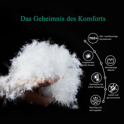 APSMILE Down Comforter 240x260 Winter Extra Warm Duvet 100% Cotton, Winter Duvet with Premium Goose Down, Fluffy Feather Duvet 380gsm without Live Plucking, Thermal Certified