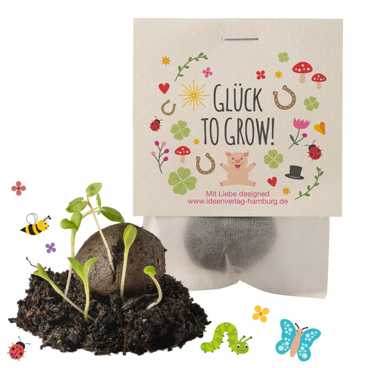 10x "Good luck to grow" seed bombs/lucky charms/small gifts for colleagues, guests & friends - Seed bomb party favor - Children's thank you gifts - Party favors