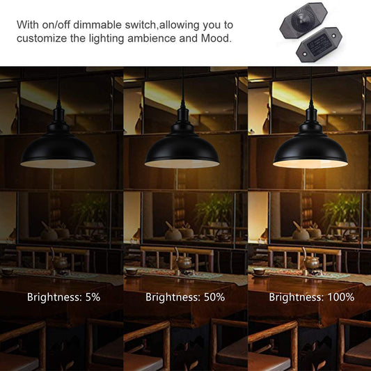 Outdoor plug-in hanging lamp, vintage pendant light dimmable black metal hanging light E27 lamp socket with 4.5m cable and dimmer switch for outdoor & indoor, garden, balcony, patio, Max.60W