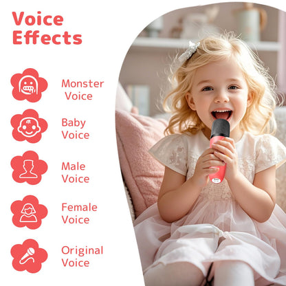 Fede Karaoke machine for kids and adults, mini karaoke machine with 2 microphones, portable Bluetooth speaker with voice effects & LED lights, gifts toys for girls and boys.